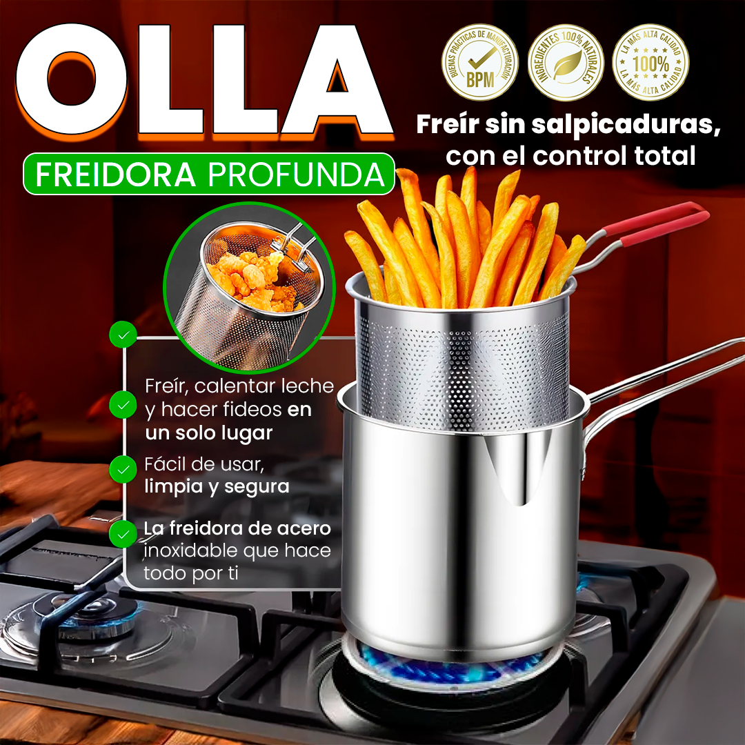Olla Freidora Profunda Aceite Canasta